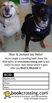 Bear & Jackpot say Hello!
