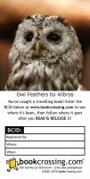 Owl Feathers by 4libros