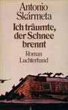 Ich träumte, der Schnee brennt