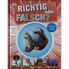 Richtig oder falsch?