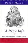 Dog's Life, A