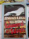 I Sommersi e i Salvati