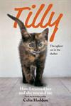 Tilly - The Ugliest Cat in the Shelter