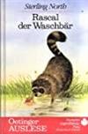 Rascal, der Waschbär