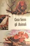 Cosa fanno gli animali - 4