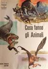Cosa fanno gli animali - 7