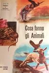 Cosa fanno gli animali - 8