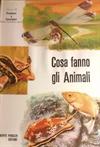 Cosa fanno gli animali - 9