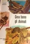 Cosa fanno gli animali - 10