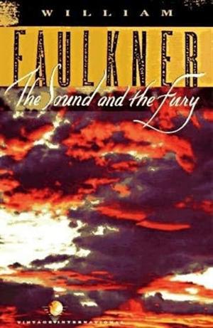 the sound and the fury book