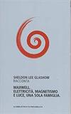Maxwell. Elettricità, magnetismo e luce, una sola famiglia