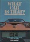 What Car Is That?