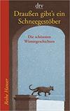 Draußen gibt's ein Schneegestöber - 24 Adventskalender-Geschichten