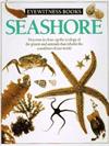 Seashore