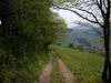 Wander und Spaziergangs Challenge