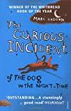 The Curious Incident of the Dog in the Night Time