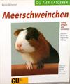 Meerschweinchen richtig pflegen und verstehen